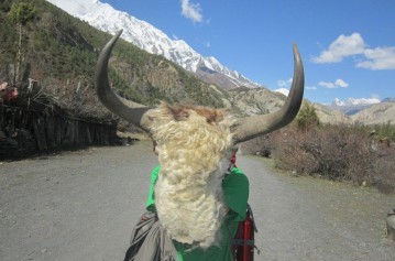 Nar Phu-Upper Mustang Trek